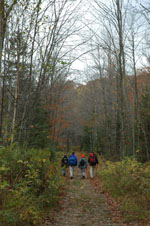 The Walk